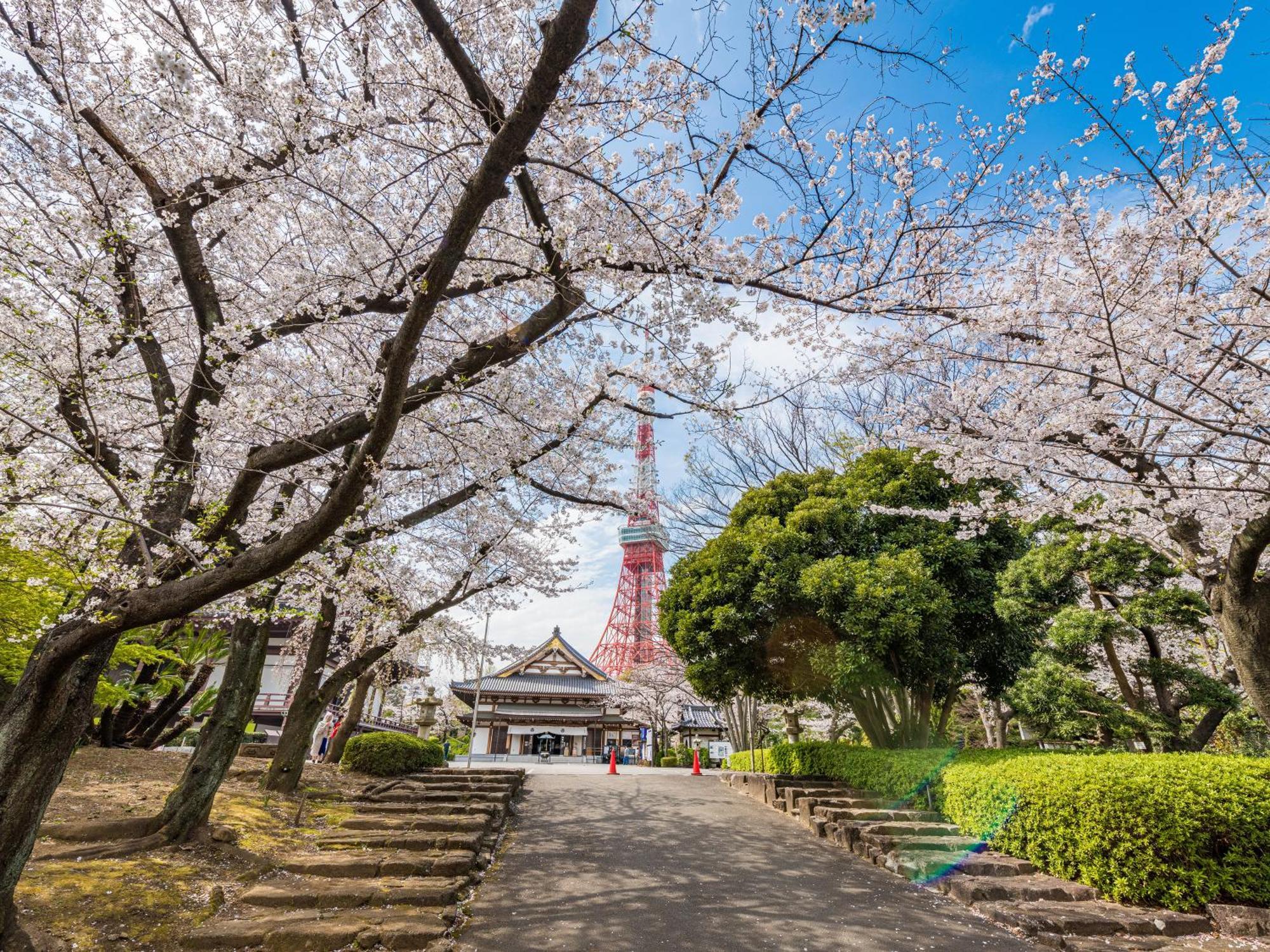 Illi Rom Hamamatsucho Hotel Tokio Buitenkant foto